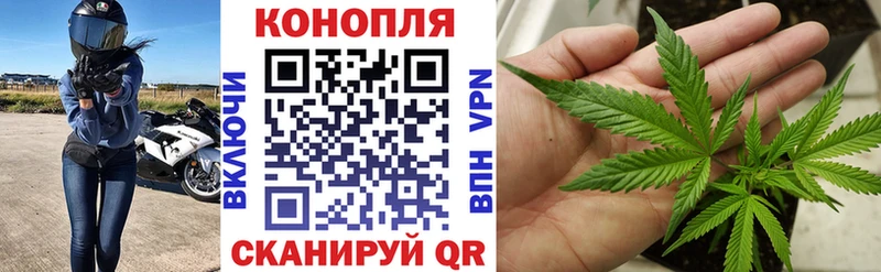 Купить  Сенгилей  Шишки марихуана MAZAR 